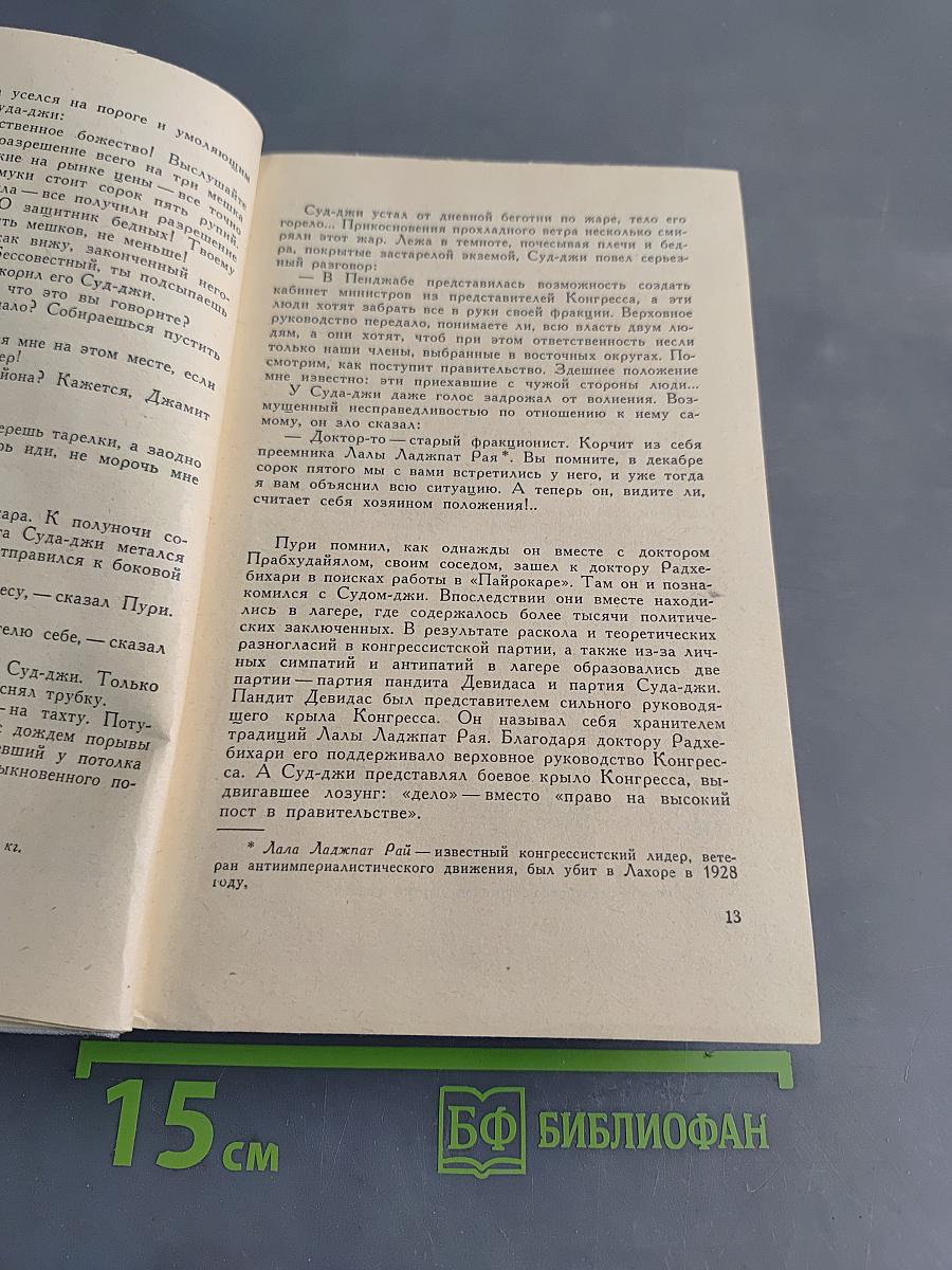 Ложная правда. Роман. Книга вторая