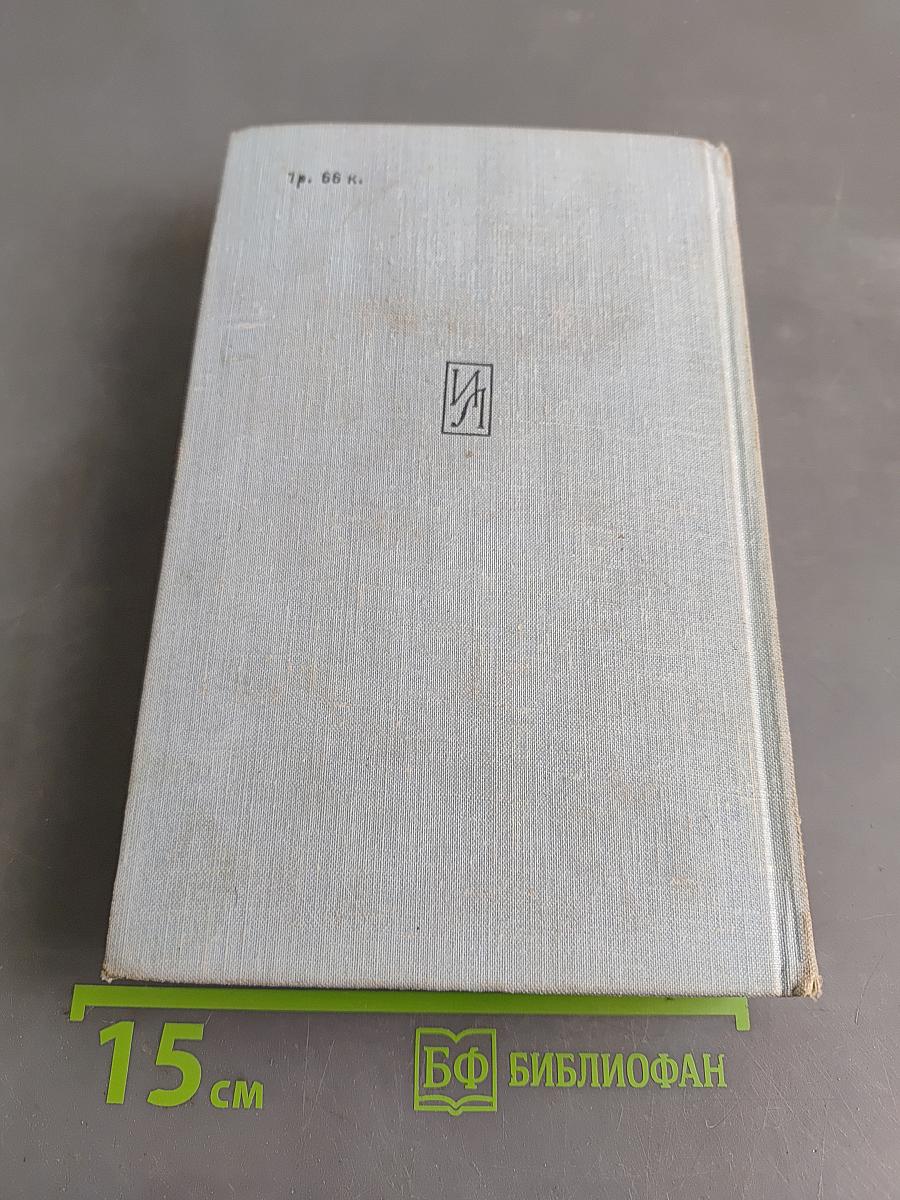 Ложная правда. Роман. Книга вторая