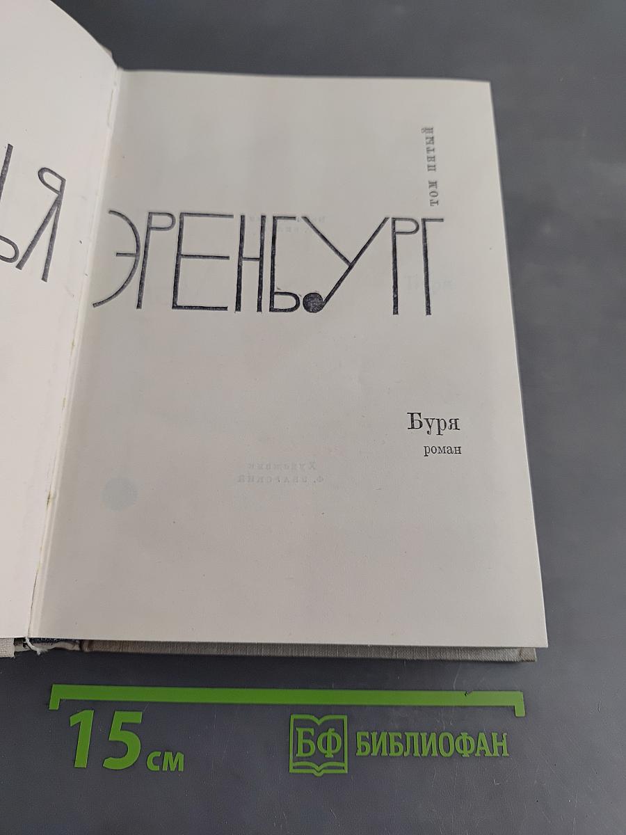 Буря. Том пятый