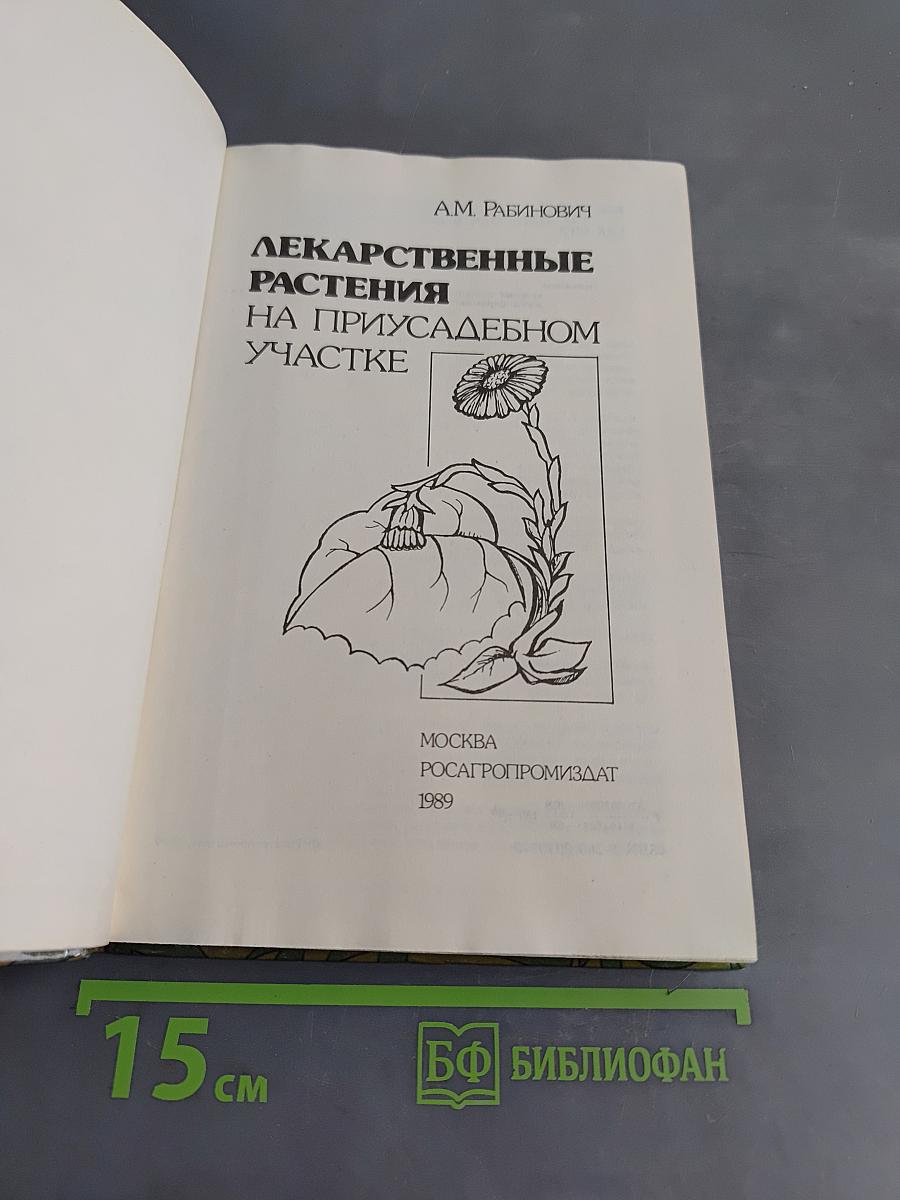 Лекарственные растения на приусадебном участке