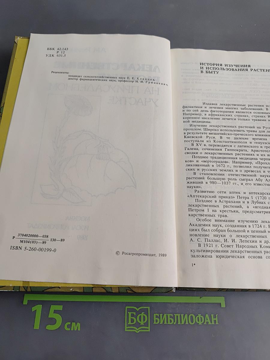 Лекарственные растения на приусадебном участке