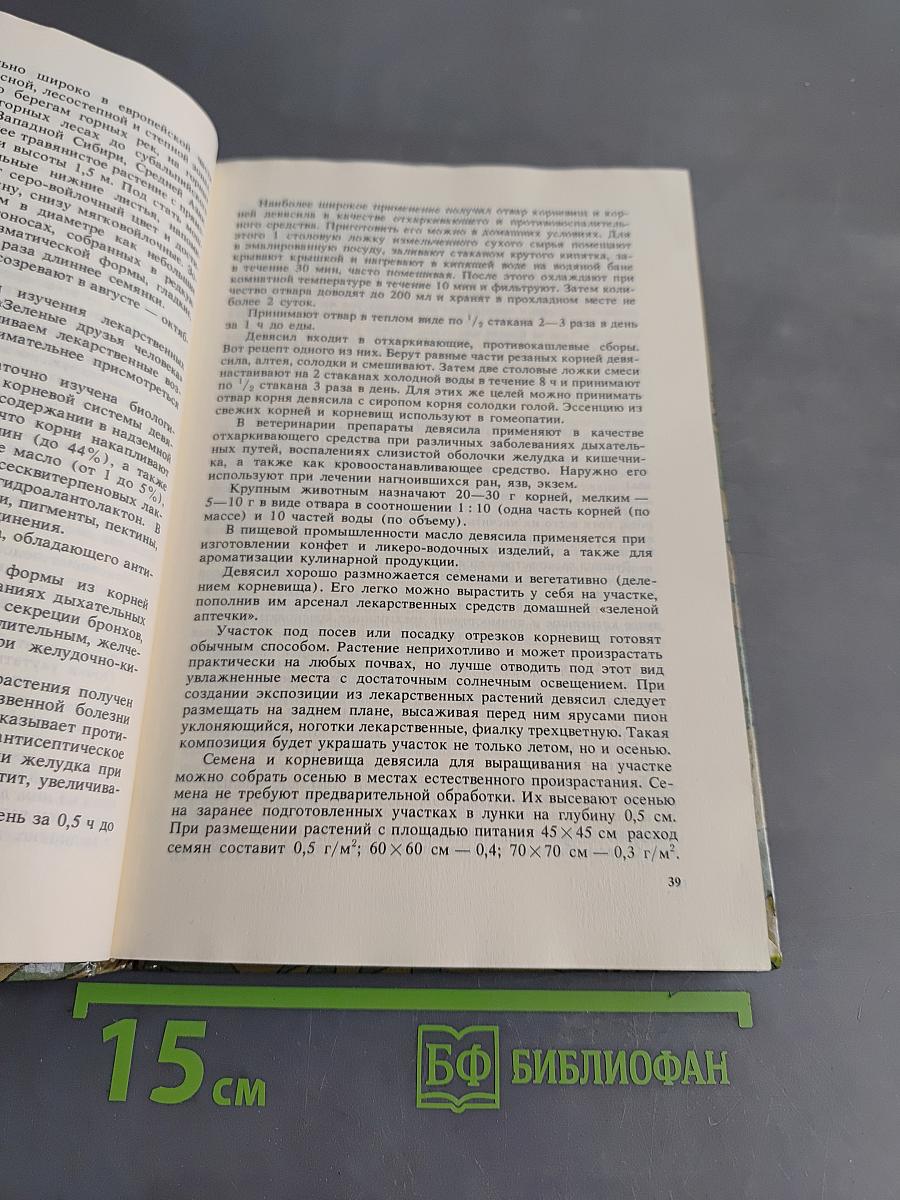 Лекарственные растения на приусадебном участке