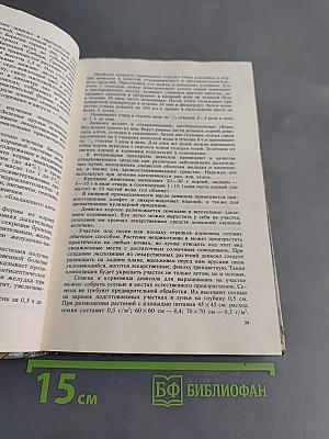 Лекарственные растения на приусадебном участке