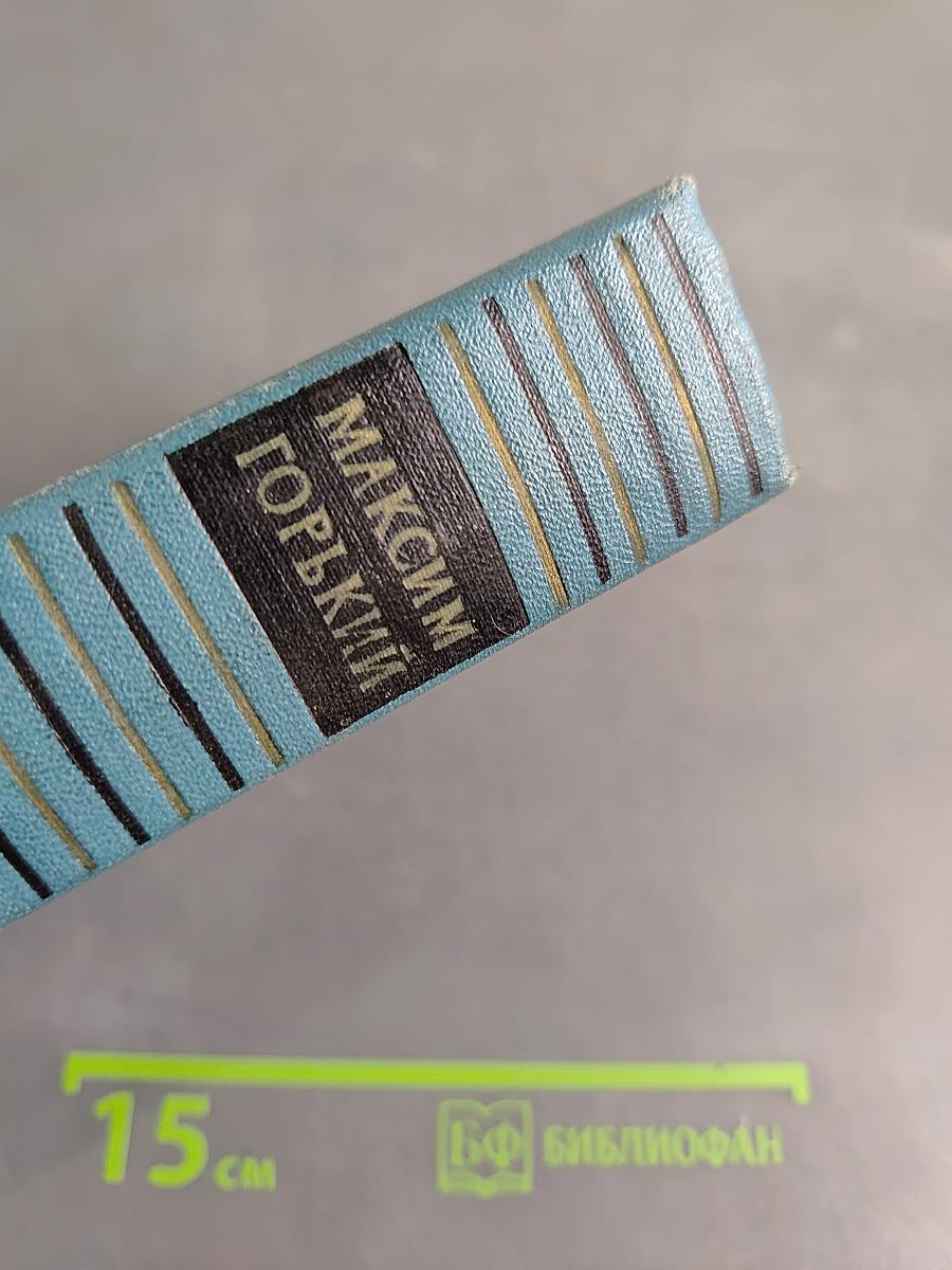 Избранные сочинения. Том 2. Мать. Дело Артамоновых