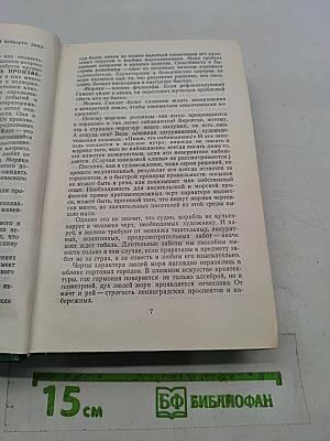 Вчерашние заботы. Соленый лед