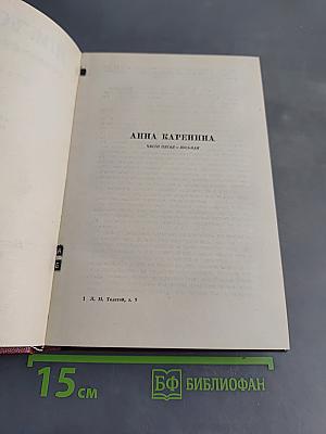 Анна Каренина. Роман в восьми частях. Том 9