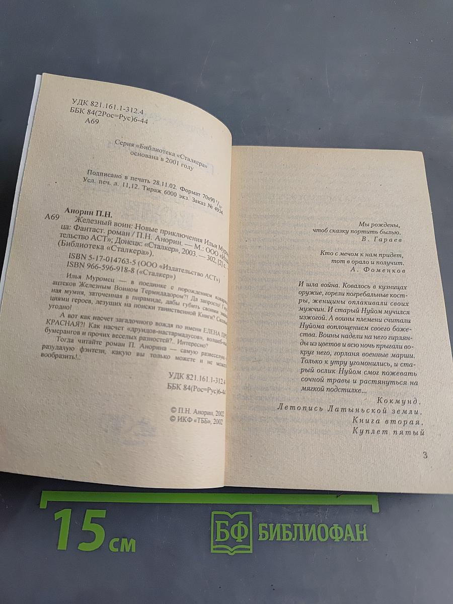 Железный воин. Новые приключения Ильи Муромца