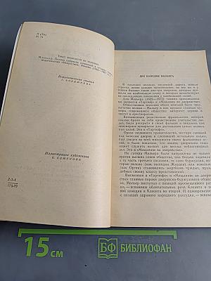 Тартаиф, Мещанин во дворянстве
