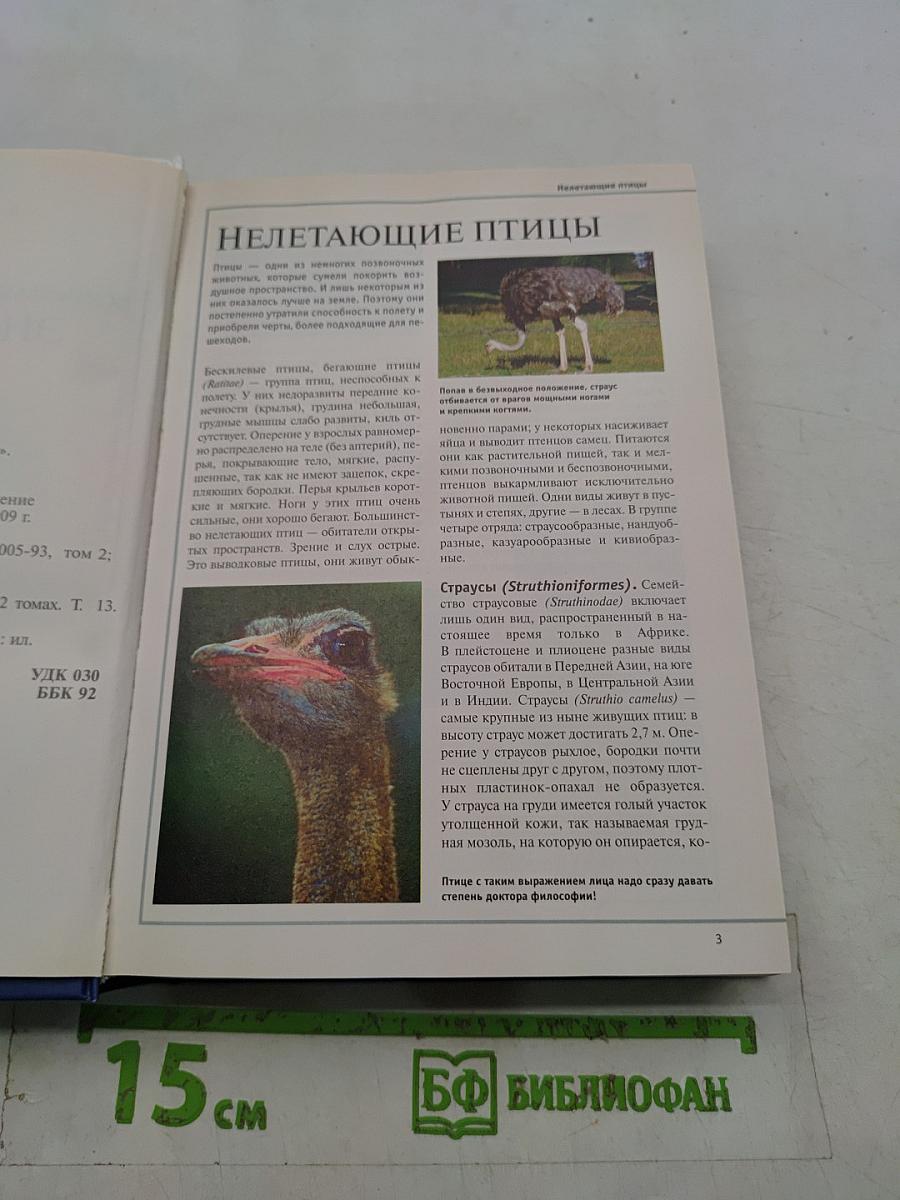 Большая иллюстрированная энциклопедия. Том 13. Кие – Кон