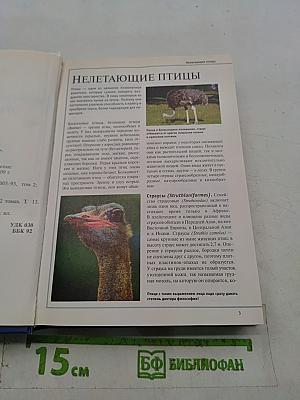 Большая иллюстрированная энциклопедия. Том 13. Кие – Кон