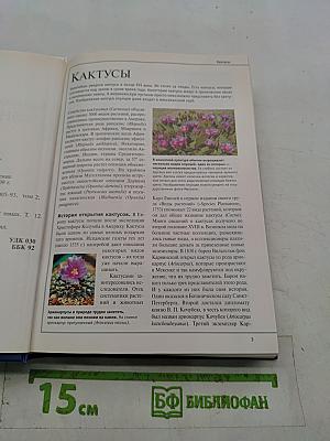 Большая иллюстрированная энциклопедия. Том 12. Кал – Кид