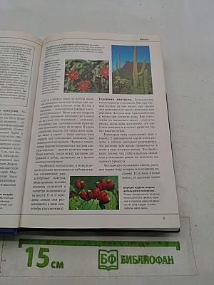 Большая иллюстрированная энциклопедия. Том 12. Кал – Кид