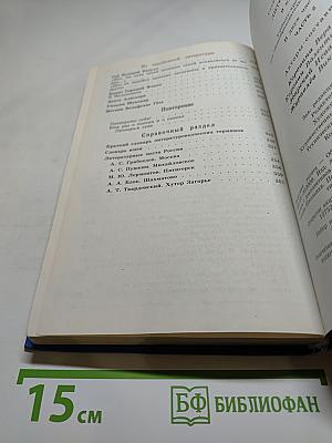 Литература. 9 класс. Часть 2