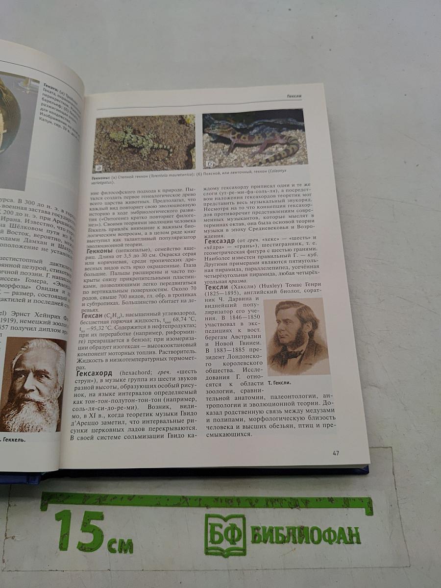 Большая иллюстрированная энциклопедия. Том 7. Гау-Гоф