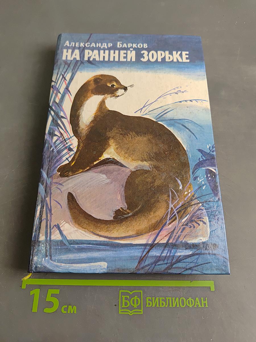 На ранней зорьке