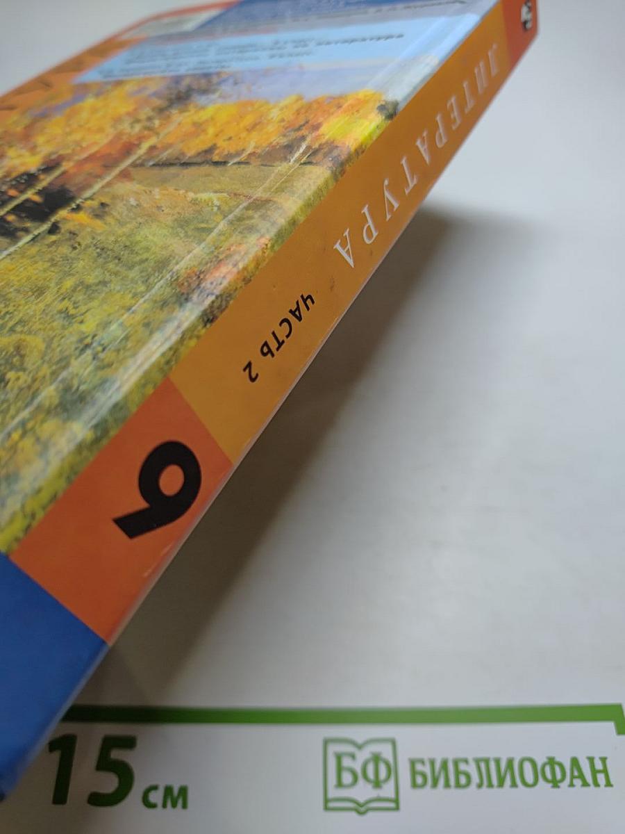 Литература. 9 класс. Часть 2