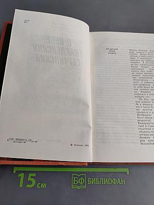 В небе – гвардейский Гатчинский