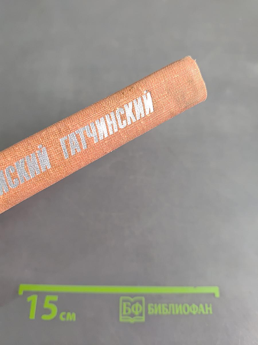 В небе – гвардейский Гатчинский
