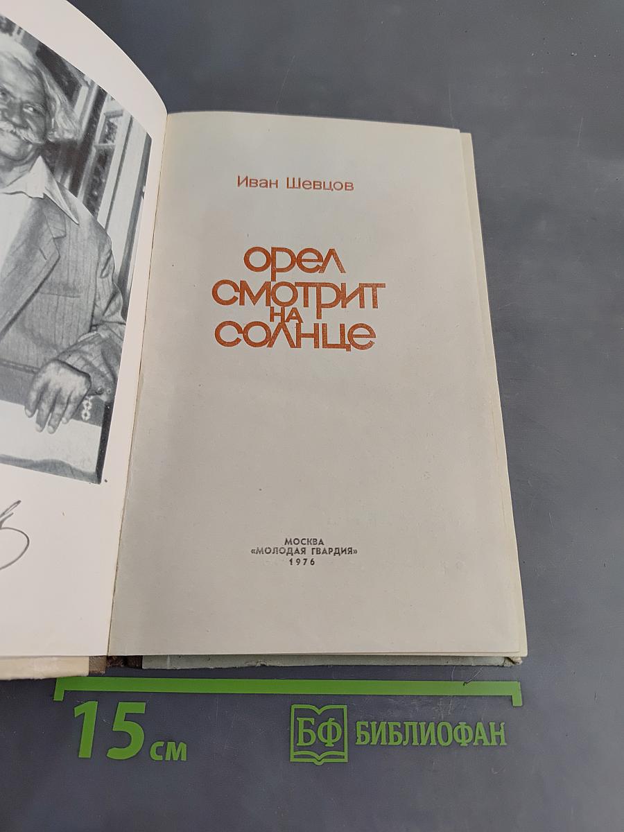 Орел смотрит на солнце