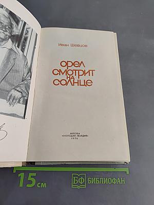 Орел смотрит на солнце