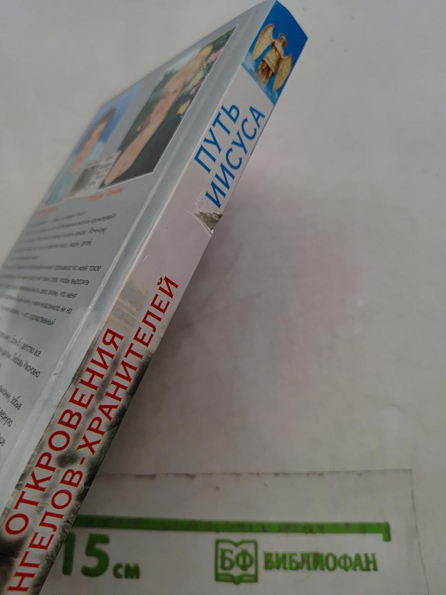 Откровения ангелов-хранителей. Путь Иисуса. Неизвестные факты