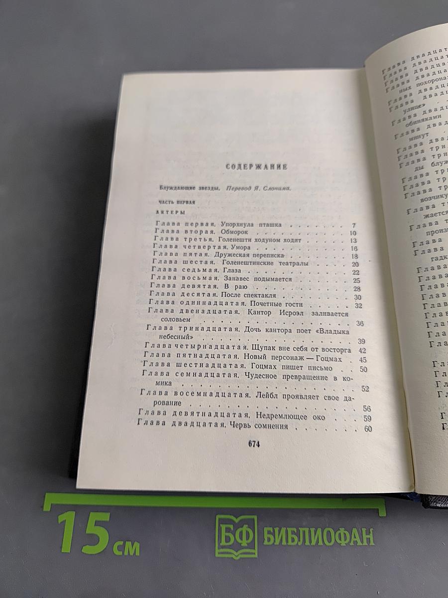 Шолом-Алейхем. Собрание сочинений. Том пятый