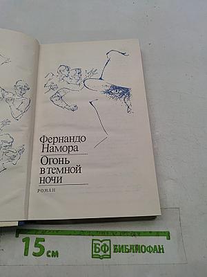 Огонь в темной ночи