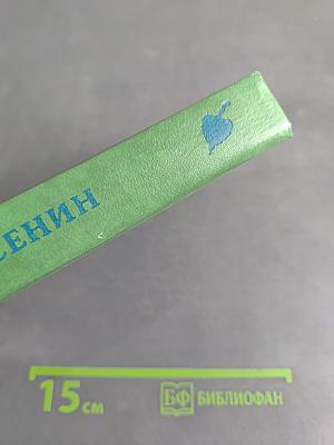 Стихотворения и поэмы