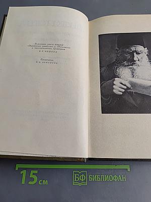 Собрание сочинений. Том одиннадцатый. Драматические произведения 1864–1910 гг.