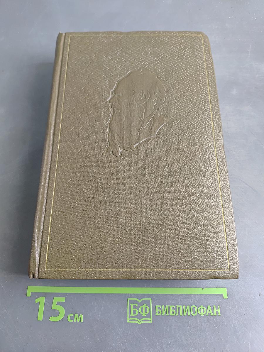 Собрание сочинений. Том десятый. Повести и рассказы 1872-1886 гг.