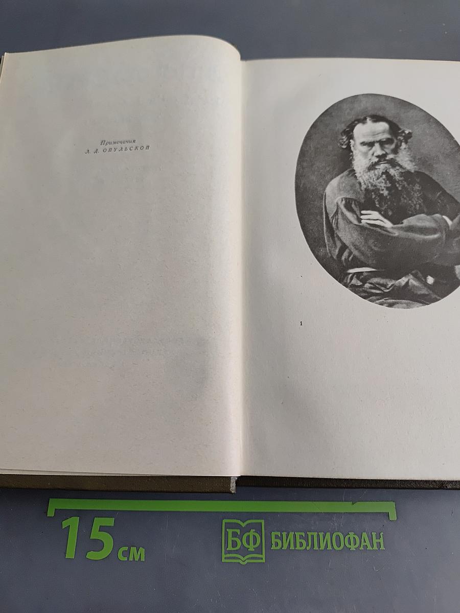 Собрание сочинений. Том десятый. Повести и рассказы 1872-1886 гг.