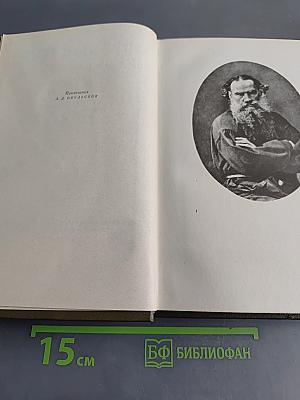 Собрание сочинений. Том десятый. Повести и рассказы 1872-1886 гг.