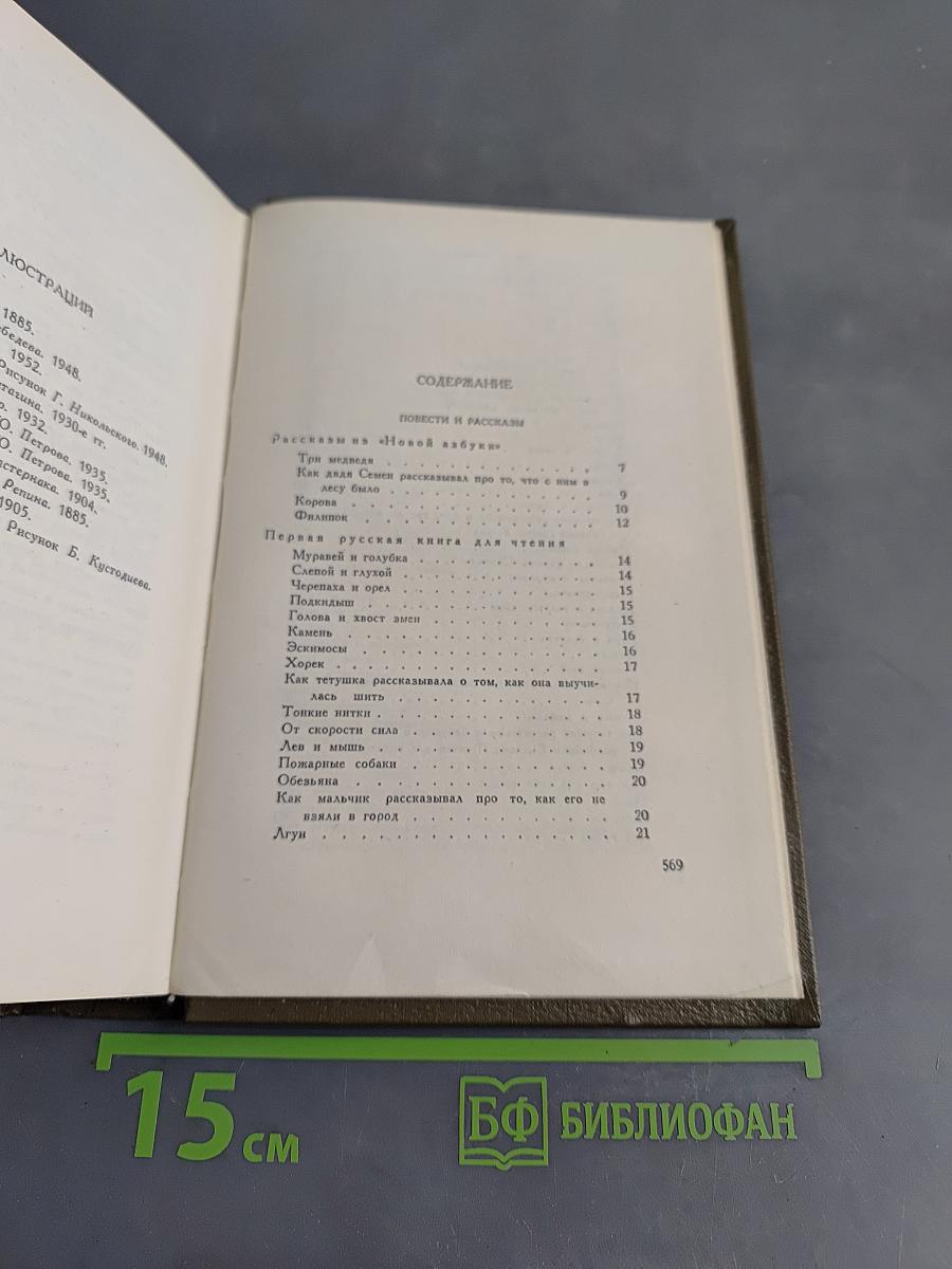 Собрание сочинений. Том десятый. Повести и рассказы 1872-1886 гг.