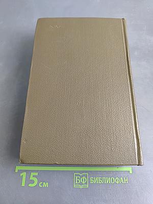Собрание сочинений. Том десятый. Повести и рассказы 1872-1886 гг.