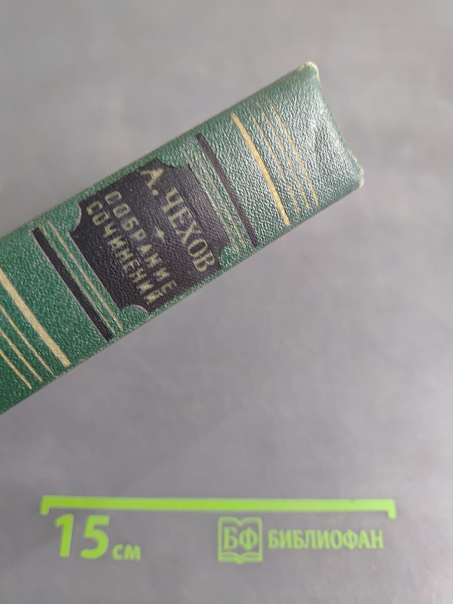 Собрание сочинений. Том девятый. Пьесы 1886-1904