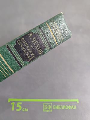 Собрание сочинений. Том девятый. Пьесы 1886-1904