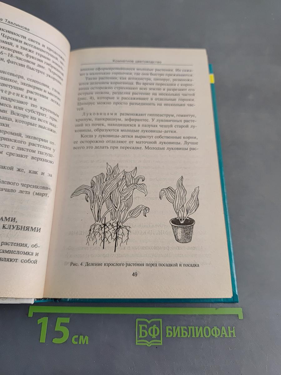 Комнатное цветоводство