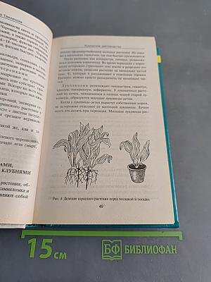 Комнатное цветоводство