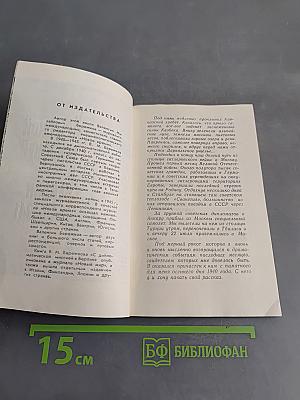 С дипломатической миссией в Берлин 1940-1941