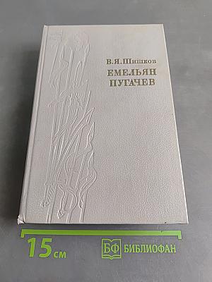 Емельян Пугачев. Историческое повествование. Книга первая