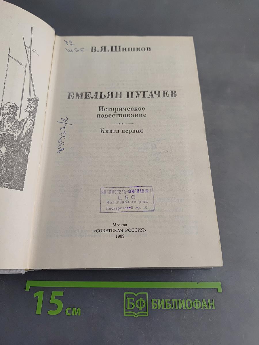 Емельян Пугачев. Историческое повествование. Книга первая