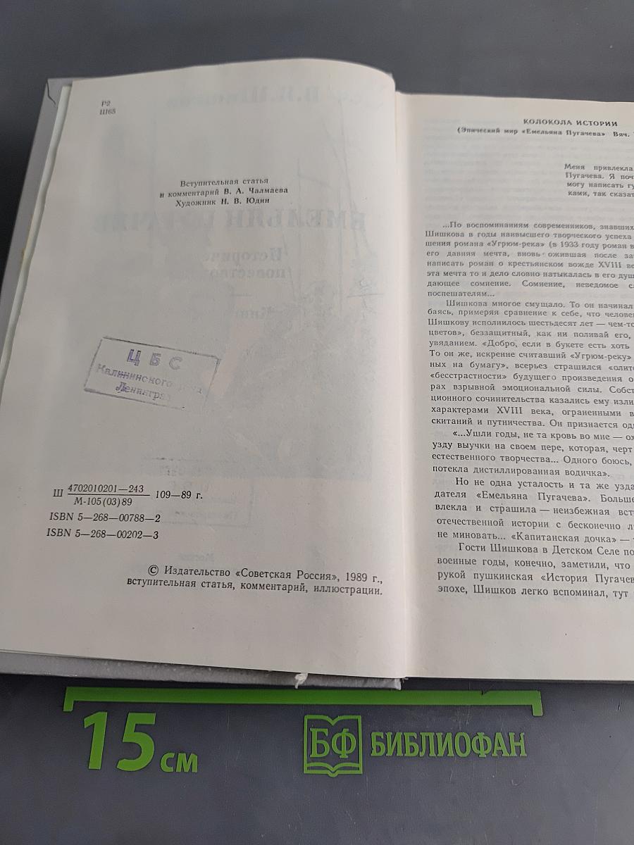 Емельян Пугачев. Историческое повествование. Книга первая