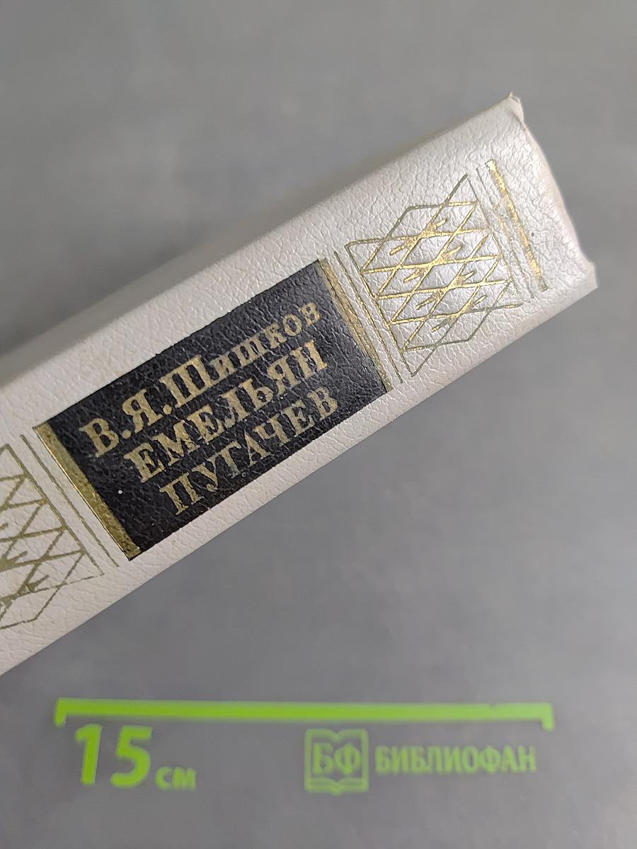 Емельян Пугачев. Историческое повествование. Книга первая