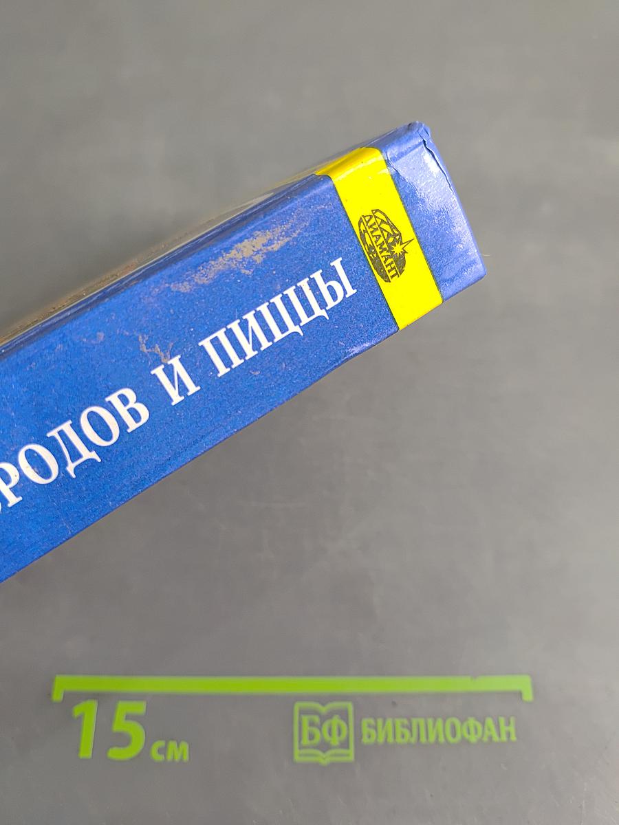 1000 рецептов бутербродов и пиццы