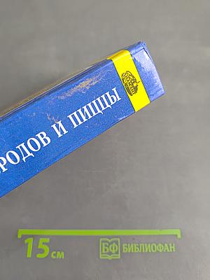 1000 рецептов бутербродов и пиццы