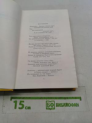 Путешествие по Камчатке. Умка, белый медведь. Арктика. Том 4