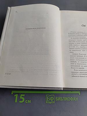 Течение времени