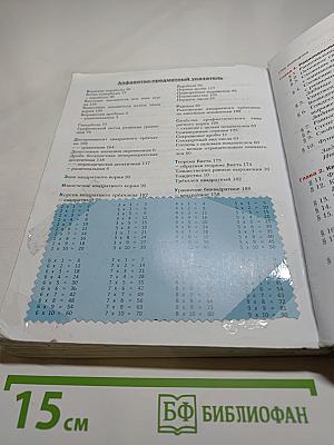 Алгебра 8 класс