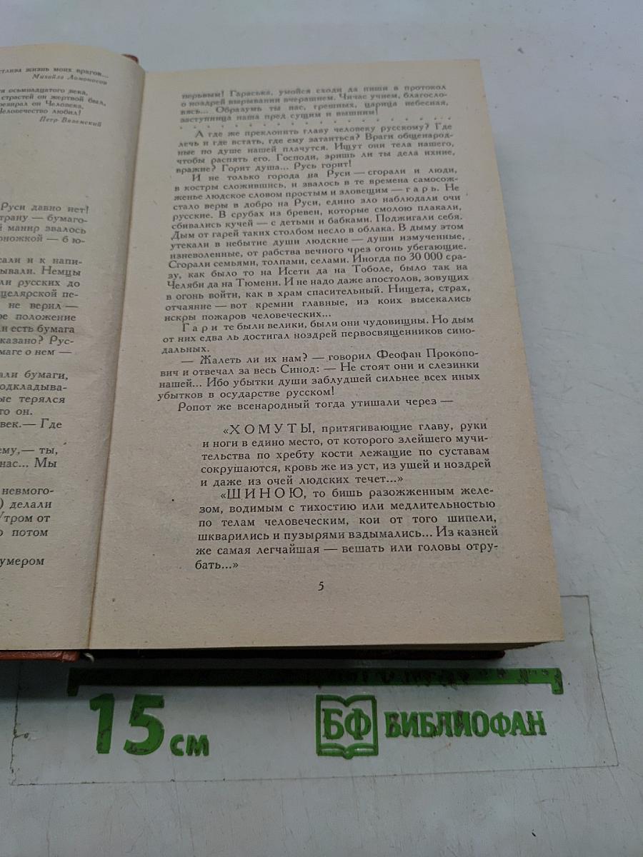 Слово и дело. Роман-хроника времен Анны Иоанновны. Том 2. Мои любезные конфиденты