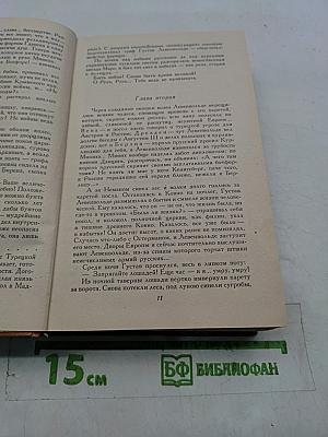 Слово и дело. Роман-хроника времен Анны Иоанновны. Том 2. Мои любезные конфиденты